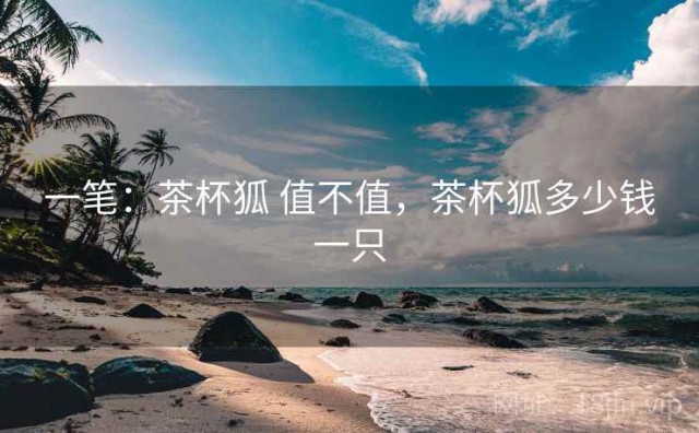 一笔：茶杯狐 值不值，茶杯狐多少钱一只