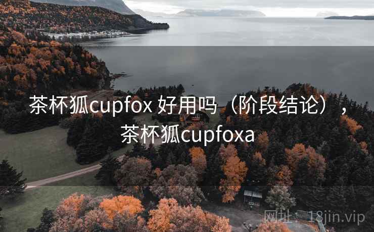 茶杯狐cupfox 好用吗（阶段结论），茶杯狐cupfoxa