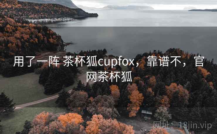 用了一阵 茶杯狐cupfox，靠谱不，官网茶杯狐